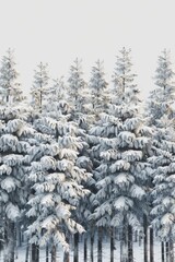 Aufkleber - Winter scene of snow covered trees in forest. Suitable for nature backgrounds