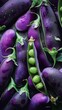 Close up of fresh purple pea pods with green embellishments. A visually stunning and exotic scene. 