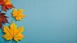 autumn leaves on a light blue background with copyspace