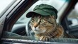 The cat in a green cap is in a car of the cleaning company. White background.