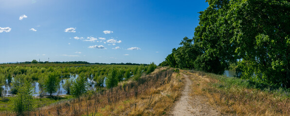 Poster - Sacramento river levee panorama with water on both sides 