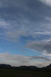 © SISIRA - Blue sky and cloud with tree.