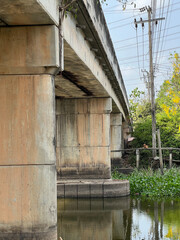 Canvas Print - bridge in the park