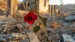 Romantic winter forest celebrates love with frozen flower bouquet,red rose flower,Single rose is blooming out of the rubble of destroyed building. Generated AI