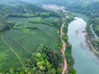 Aerial photography of the tea farm on the mountain