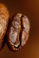 macro photograph of a single coffee bean