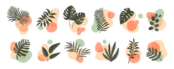 abstract boho leaf and plant organic shapes, vector floral minimalist art set. summer nature prints 