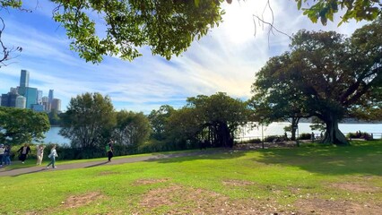 Wall Mural - Sydney Harbour forshore viewed from the Gardens in NSW Australia on a nice sunny and partly cloudy afternoon blue skies