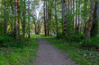 Footpath in the woodland area park in springtime. Champoeg State Heritage Park in Oregon