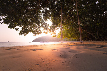 Golden sunset illuminates a peaceful beach scene with an inviting rope swing under the shade of trees