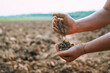 person is holding the soil with two hands to examine the brown soil