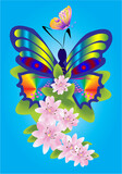 Fototapeta  - composition with pink flowers and colorful butterflies