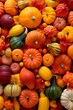 A Plethra of Pumpkins and Gourds