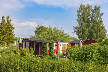 Canvas Print - Lush green allotment garden with a small  cottages in the summer