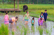 Asian Thai children's younger groups are practicing farming by planting rice to learn about the life of farmers at the green rice fields.