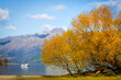Yacht sailboat on a lake with autumn trees and mountain 
