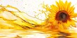 Gorgeous burst of sunflower oil on a blank backdrop.