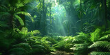 Fototapeta Las - green tropical jungle forest  with ferns and giant trees,  mystery and adventure.nature background