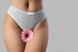 Beautiful young woman in panties with gerbera flower on grey background, closeup