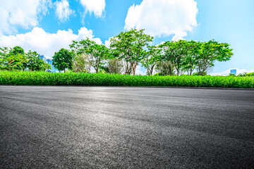 Wall Mural - Asphalt square road and forest background