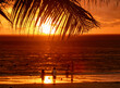 Silhouette of palm tree leaves beautiful sunset on the tropical sea beach in Langkawi, Malaysia
