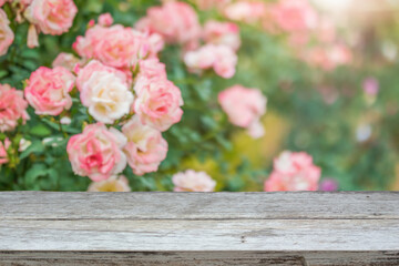 Wall Mural - Empty wood table top with blur rose garden background for product display
