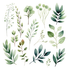 Wall Mural - boho greenery clipart watercolor green floral for woodland wedding, country natural cards, mother's 