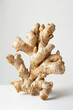 ginger root on a grey  background, cut into large slices. ginger Isolate