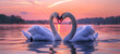 Two Swans Creating Heart Shape in Water Beautiful white swans on the lake at sunset Romantic background in the morning.