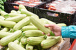 Zucchini vegetable in hand