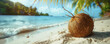 Coconut on a sunny tropical beach with palm trees.