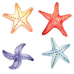 Wall Mural - set of cute starfish watercolor clipart hand drawn transparent background