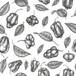 Hand drawn sketch style scotch bonnet pepper seamless pattern. Organic fresh vegetable vector illustration. Retro cayenne pepper background