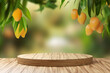 Wooden podium with fresh mango hanging on tree and blured orchard background.
