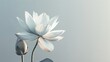 Blooming lotus, soft gray background, minimalist design magazine cover, natural light, directly overhead angle
