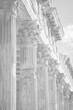© Elena - Elegant black and white high-key photo of ornate classical columns, architecture and history background