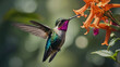 A green, blue, and purple hummingbird is flying towards a cluster of red and orange flowers.

