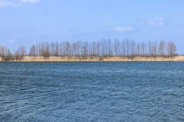 Wall Mural - waves on the surface of the river in sunny weather