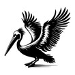 pelican with its wings spread silhouette. Vector illustration