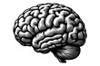 Human brain monochrome clip art. Vector illustration