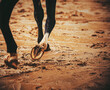 The hooves of a black horse that gallops through the mud. A quick gallop. Slush.
