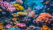 A vibrant image of a coral reef