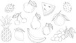 Set of doodle illustrations of fruits and berries. Line art vector illustrations of healthy food