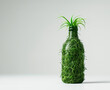 A plastic bottle overgrown with green grass both inside and outside. Concept of waste recycling, renewable resources, environmental pollution, ecology. White background with copy space.