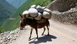 A Mule Carrying A Load Of Stones The Heavy Rocks Upscaled 4