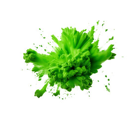 Wall Mural - Vibrant green paint explosion, resembling a blooming flower, with splashes and droplets, isolated on transparent background. Generative AI