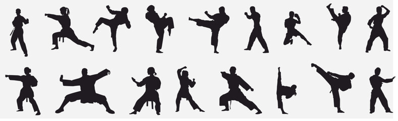 mix martial arts, kungfu, boxing, karate, kick boxing, jujitsu, taekwondo, sumo, mauy thai. silhouet