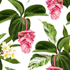 Wall Mural - Seamless tropical pattern with pink medinilla and plumeria flowers. Exotic background. Stock vector illustration.  