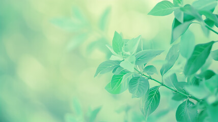 Wall Mural - Green leaves of bushes and trees in the sunlight close-up