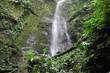 Wasserfall an einem Wildbach bei La Fortuna in Costa Rica